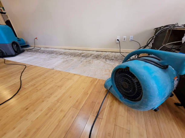 Professional Water Damage Repair technician working in Elizabethtown, NC